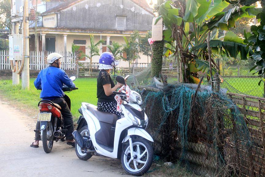 Lạ lùng buồng chuối ra trái "đếm không xuể" - 11