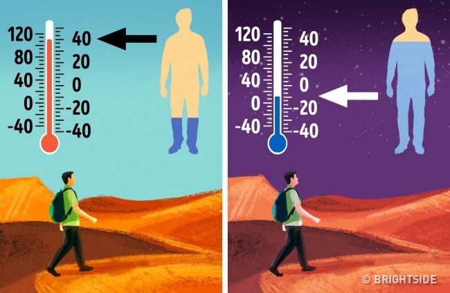 Đi du xuân đầu năm, hãy nhớ những kiến thức này để không gặp nguy hiểm - 2