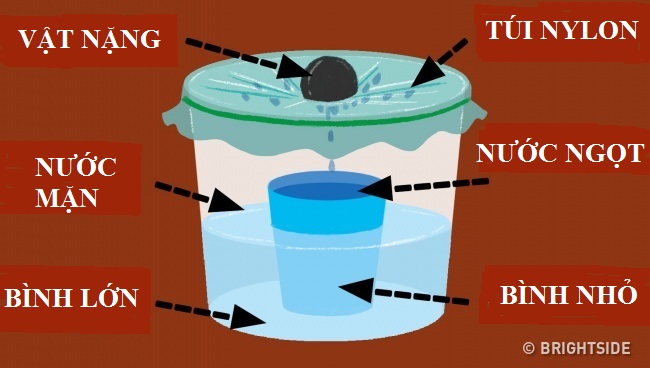 Đi du xuân đầu năm, hãy nhớ những kiến thức này để không gặp nguy hiểm - 1