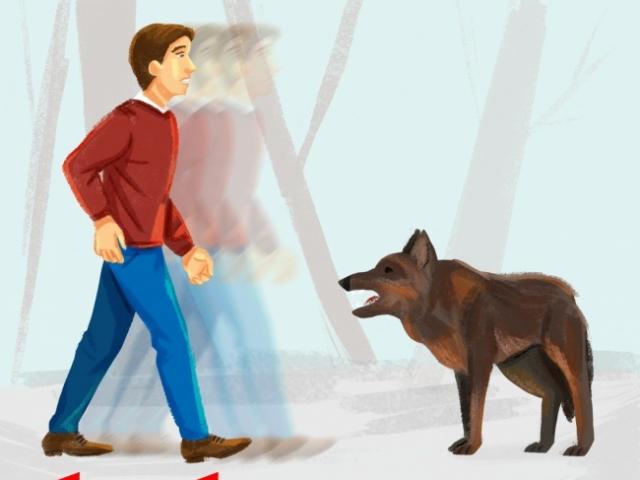 Sức khỏe đời sống - Đi du xuân đầu năm, hãy nhớ những kiến thức này để không gặp nguy hiểm