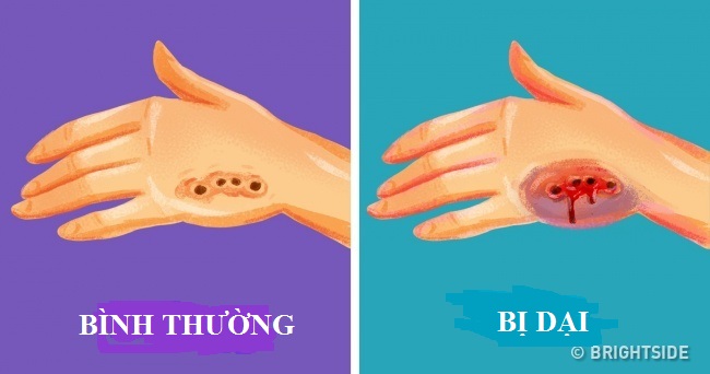 Đi du xuân đầu năm, hãy nhớ những kiến thức này để không gặp nguy hiểm - 7