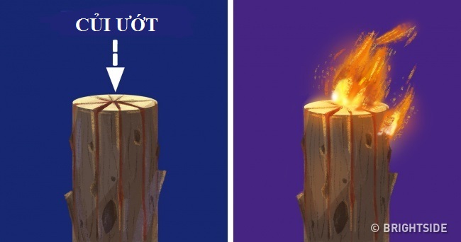 Đi du xuân đầu năm, hãy nhớ những kiến thức này để không gặp nguy hiểm - 9