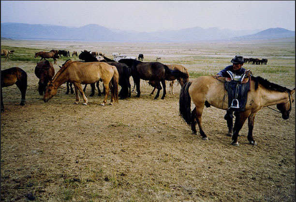 Mông Cổ bí ẩn và đầy huyền bí là điểm đến không thể bỏ qua của mọi du khách ưa khám phá - 5