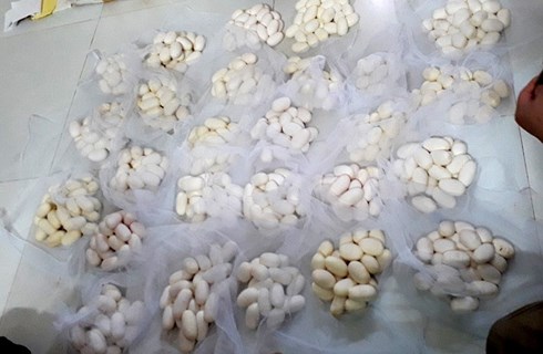 Trúng đậm chưa từng có, dân &#34;làng tử thần&#34; tranh mua đất tiền tỷ - 1
