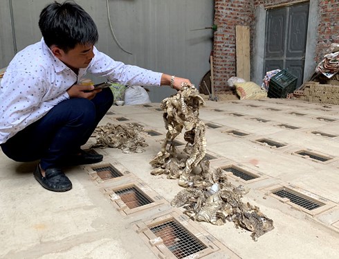 Trúng đậm chưa từng có, dân &#34;làng tử thần&#34; tranh mua đất tiền tỷ - 3