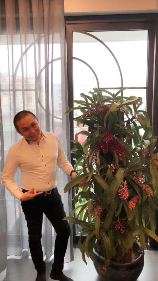 Danh hài Xuân Hinh đăng ảnh nhà phố cổ Hàng Bông, fan phát hiện điều bất ngờ - 6