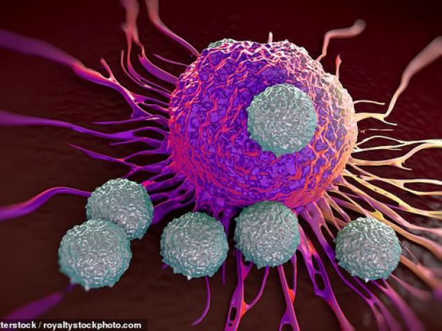 Sức khỏe đời sống - Đột phá "ngựa thành Troy" trị 6 bệnh ung thư