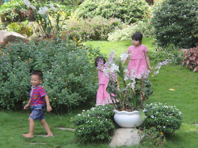 Du lịch - Du xuân đầu năm nhớ ghé thăm Đảo Ó - Đồng Trường giữa hồ Trị An