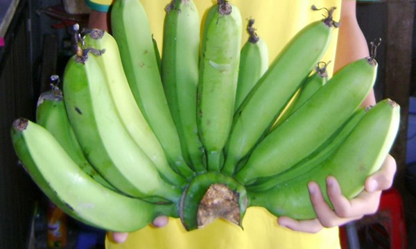 Cách xử lý thực phẩm sau Tết khoa học để đảm bảo sức khỏe các bà nội trợ nên biết - 4