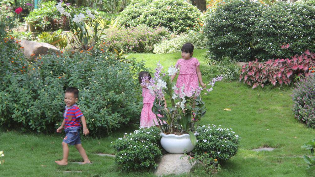 Du xuân đầu năm nhớ ghé thăm Đảo Ó - Đồng Trường giữa hồ Trị An - 2