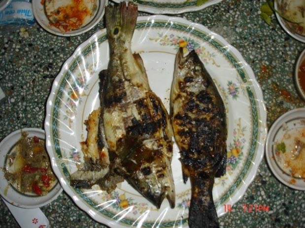 Du xuân đầu năm nhớ ghé thăm Đảo Ó - Đồng Trường giữa hồ Trị An - 4