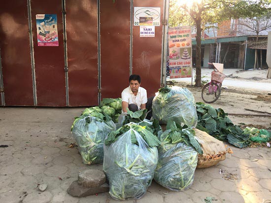 Ra Tết rau, quả, gà ta, tôm, cá đầy chợ, giá không tăng - 2