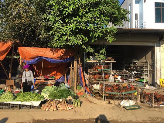 Ra Tết rau, quả, gà ta, tôm, cá đầy chợ, giá không tăng - 4