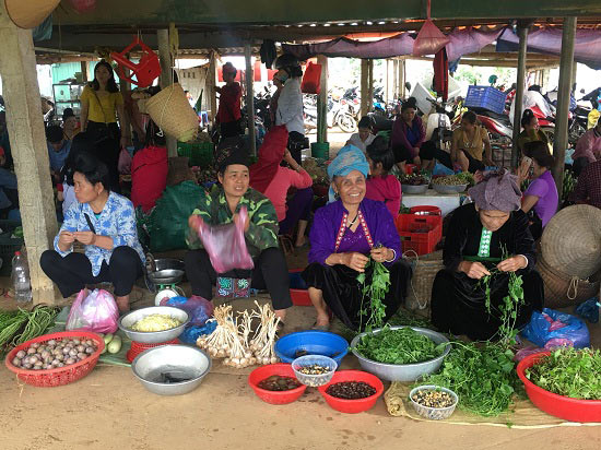 Ra Tết rau, quả, gà ta, tôm, cá đầy chợ, giá không tăng - 5