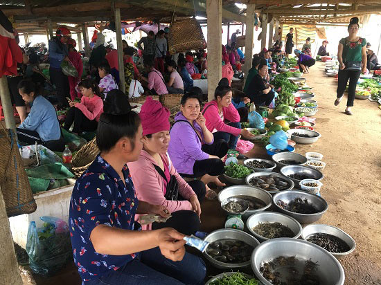 Ra Tết rau, quả, gà ta, tôm, cá đầy chợ, giá không tăng - 6