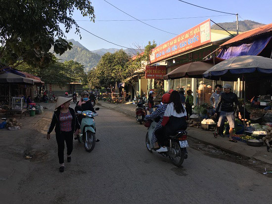 Ra Tết rau, quả, gà ta, tôm, cá đầy chợ, giá không tăng - 7