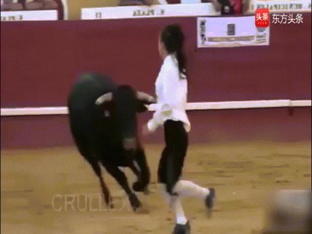 Thể thao - Đỏ mặt: Người đẹp tay không đấu bò tót bị đâm rách "chỗ hiểm"