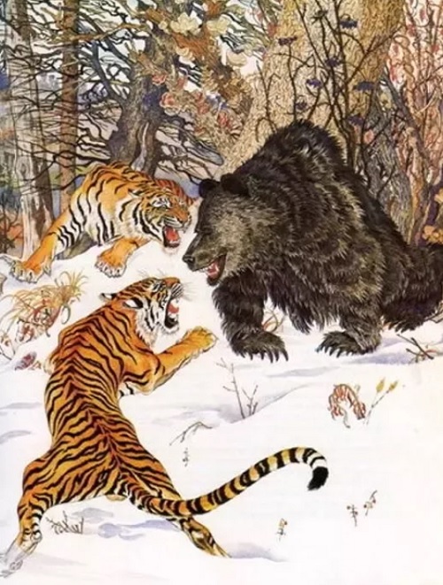 Hổ khiêu chiến gấu, không ngờ lãnh sêri đòn như vũ bão - 1