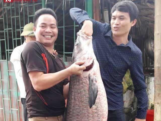 Tin tức trong ngày - Cận cảnh con cá trắm đen "khủng" dài hơn 1m, giá 7 triệu đồng