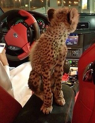 Choáng váng trước sự giàu có và tiêu tiền như nước của gái trẻ Dubai - 8