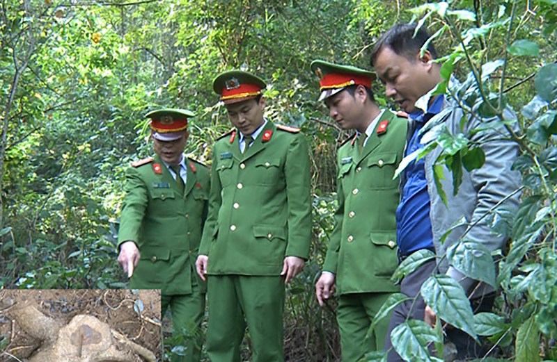 2 cảnh sát có nguy cơ phơi nhiễm HIV khi bắt kẻ trộm sưa - 1