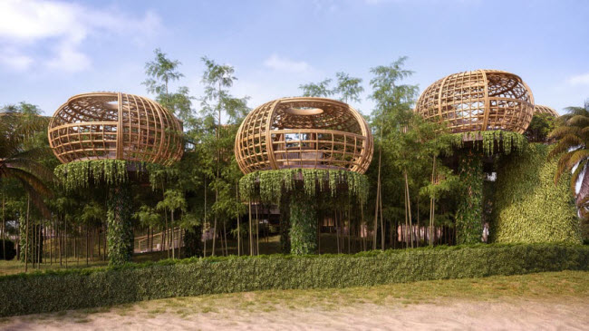 Waldorf Astoria, Maldives: Tất cả 121 biệt thự tại Waldorf Astoria Maldives đều có bể bơi vô cực và hướng nhìn tuyệt đẹp ra biển. Du khách cũng có thể thưởng thức ẩm thực trong các nhà hàng trên cây.