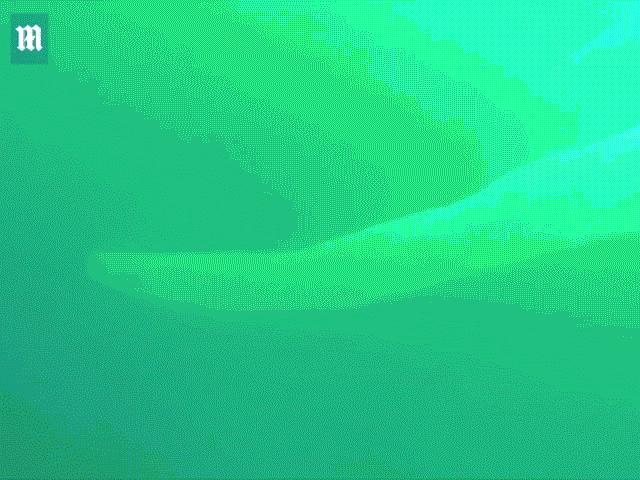 Phi thường - kỳ quặc - Video: Thợ lặn hãi hùng vì sinh vật như "bao cao su khổng lồ" xuất hiện trước mặt