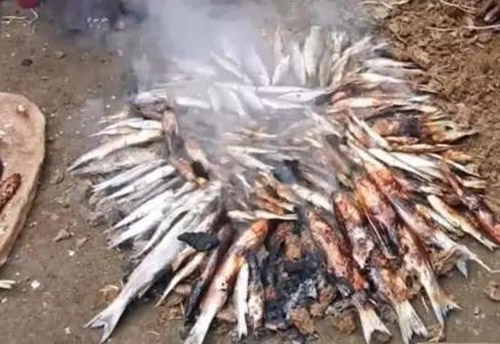 Bánh phân bò của người Ấn Độ có ăn được không? - 3