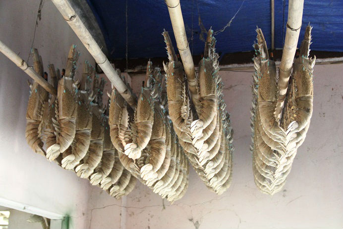 Trong nhà cụ già 90 tuổi: ‘Tôm hùm’ tiền triệu chỉ để...treo tường! - 2