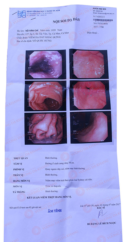 Phát hiện loài cây đẩy lùi đau bao tử (dạ dày) do viêm hang vị lâu năm cực dễ kiếm mà ít ai ngờ tới - 2