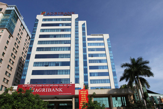 Nhóm Việt kiều Thái Lan muốn chi hơn 500 tỉ đồng mua công ty đang thua lỗ của Agribank - 1