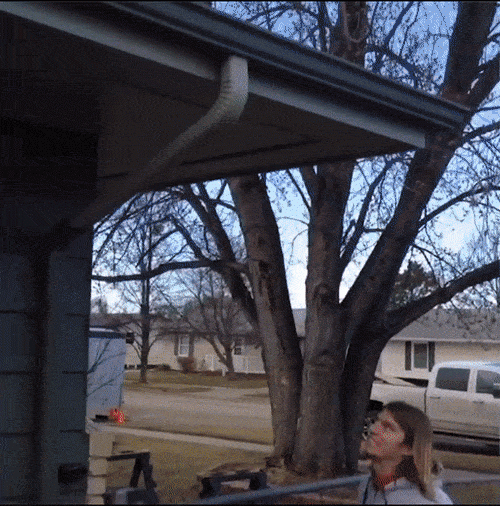 Tê tái với những màn thể hiện tài năng thất bại thảm hại - 7