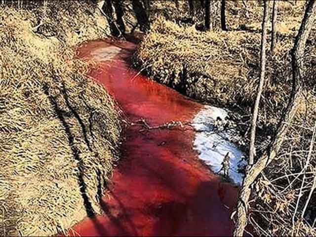 Du lịch - Hé lộ bí mật "dòng suối máu" ở Nga