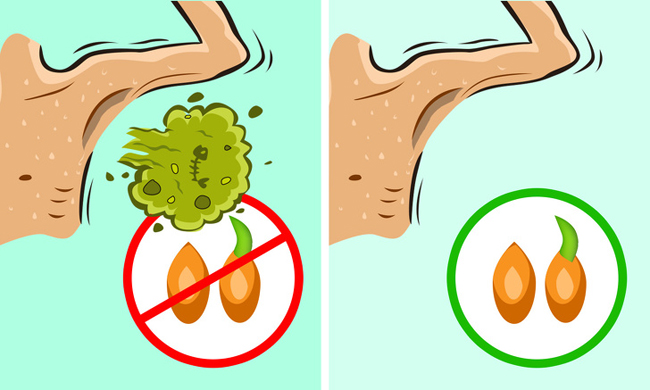 10 mẹo khử mùi cơ thể cấp tốc giúp bạn chữa ngượng cực hiệu quả - 4