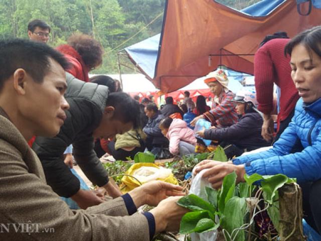 Thị trường - Tiêu dùng - La liệt "thần dược" trên núi cao được người Dao Mẫu Sơn mang bày bán