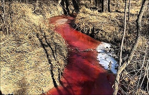 Hé lộ bí mật "dòng suối máu" ở Nga - 1