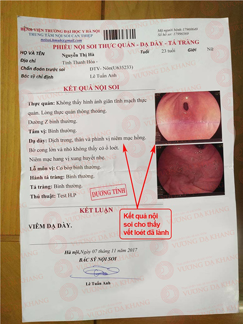 Phát hiện loài cây quý của người Mông giảm đau tức, nóng rát, lành vết loét cho người viêm hang vị - 3