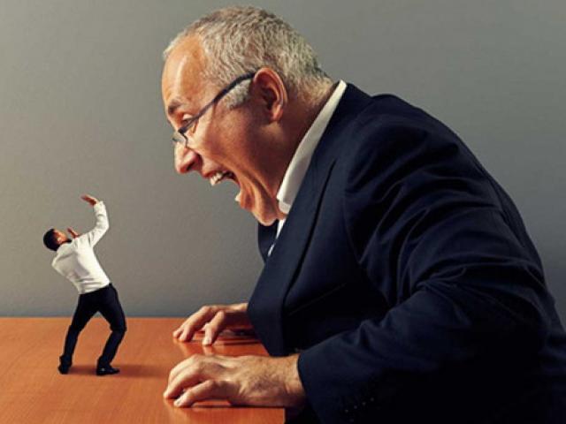 Tin vịt - Đầu xuân đã bị xui