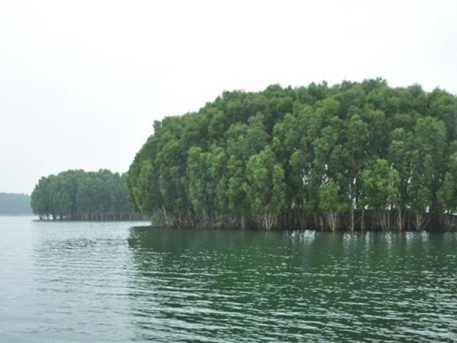 Du lịch - Mê mẩn ngắm "đảo nấm" ở nơi được ví như "Hạ Long trên núi"