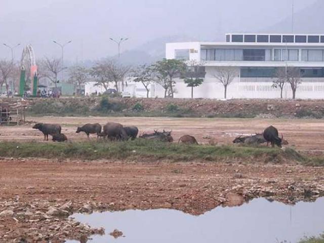 Kinh doanh - Bên trong dự án "đắp chiếu" bất ngờ được tăng vốn 'khủng'