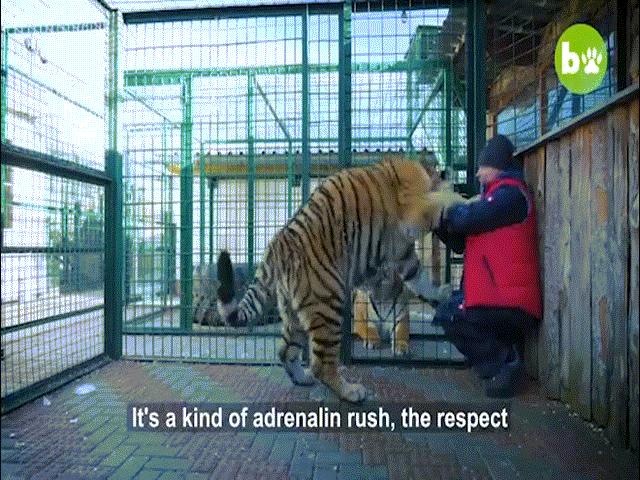 Phi thường - kỳ quặc - Cả gia đình sống chung với thú dữ