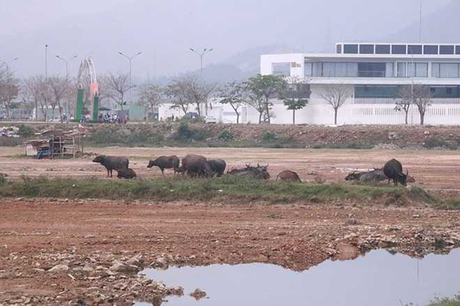 Bên trong dự án "đắp chiếu" bất ngờ được tăng vốn 'khủng' - 8