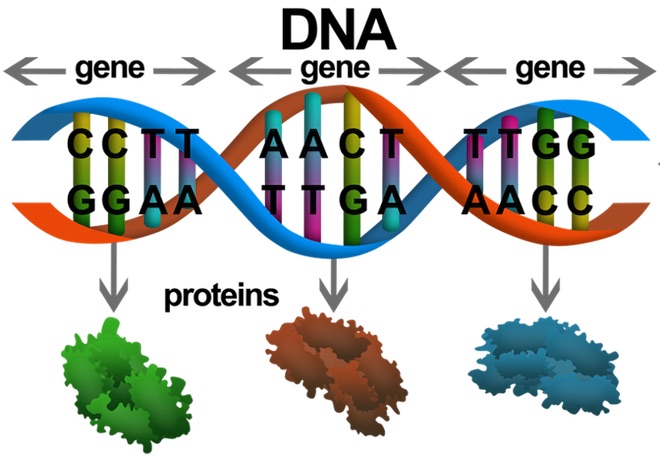 Cựu nhân viên Google người Việt tự giải mã gene chỉ với... mẫu nước bọt - 1