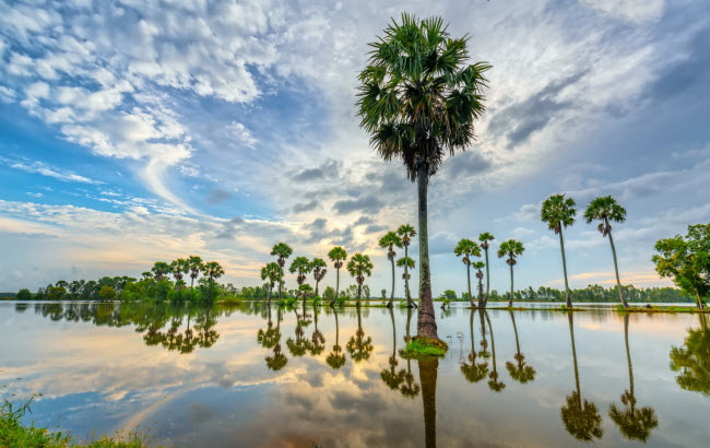 Khung cảnh bình minh đầy sắc màu tại vùng Đồng bằng sông Cửu Long. Khu vực này có nhiều sông, vùng đất ngập nước và cù lao.