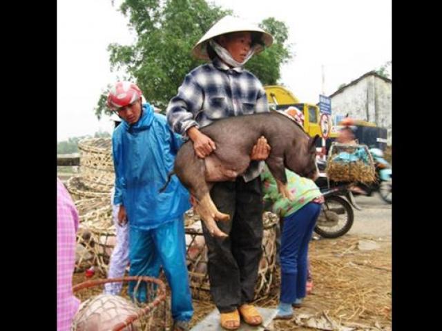 Kinh doanh - Nghề nào ở Việt Nam đầy rẫy, ở Mỹ “bói không ra”?