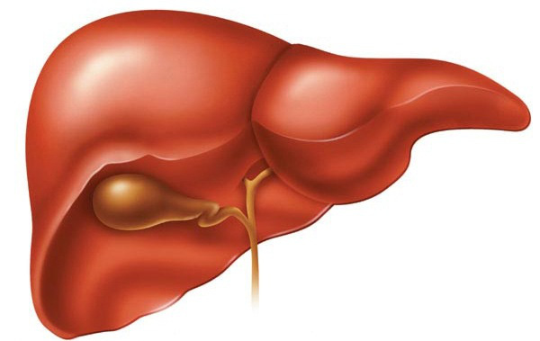 10 sự thật đáng kinh ngạc và "phi thường" về cơ thể con người - 8