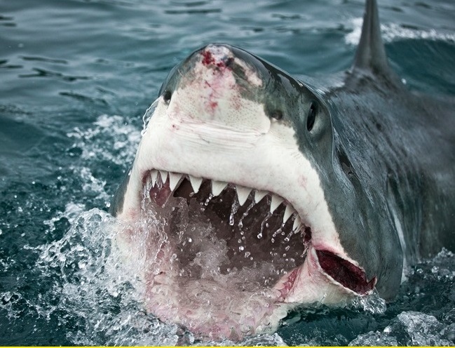 10 sự thật đáng kinh ngạc và "phi thường" về cơ thể con người - 2