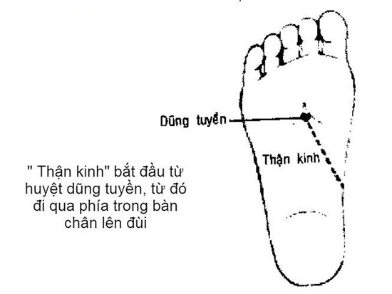 5 cách chữa đau lưng tại nhà đơn giản nhất - 3