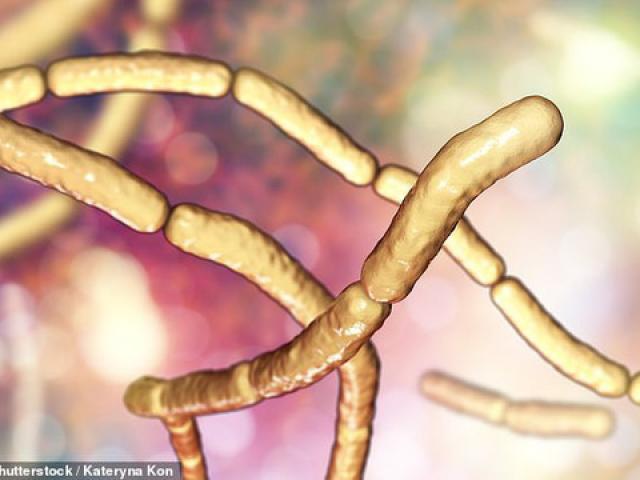 Sức khỏe đời sống - Vi khuẩn hóa "thây ma" đe dọa nhiều bệnh nhân