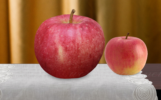 Táo Sekai Ichi – 21 USD (500.000 đồng)/quả. Sekai Ichi có nghĩa là “Số 1 thế giới”, những quả táo này có kích thước lên tới 38cm và nặng tới 1kg. Đây chính là loại táo đắt nhất và to nhất thế giới.